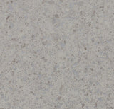 226840_5619 Forbo Novilon Viva (2m width)