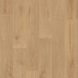 229213_8483UP4319