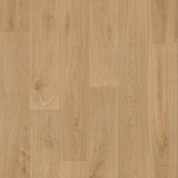 229213_8483UP4319