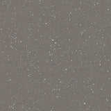 230370_3819UP4319