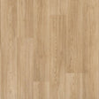 230383_8513UP4319