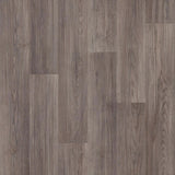 230385_8512UP4319
