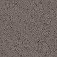 230421_4209UP4319