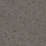 230421_4209UP4319