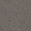 230421_4209UP4319