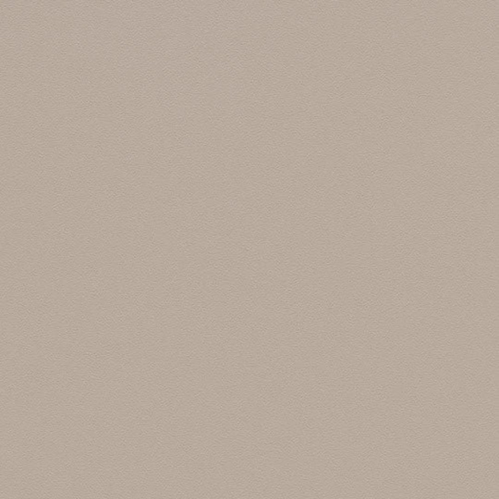 230442_0863UP4319
