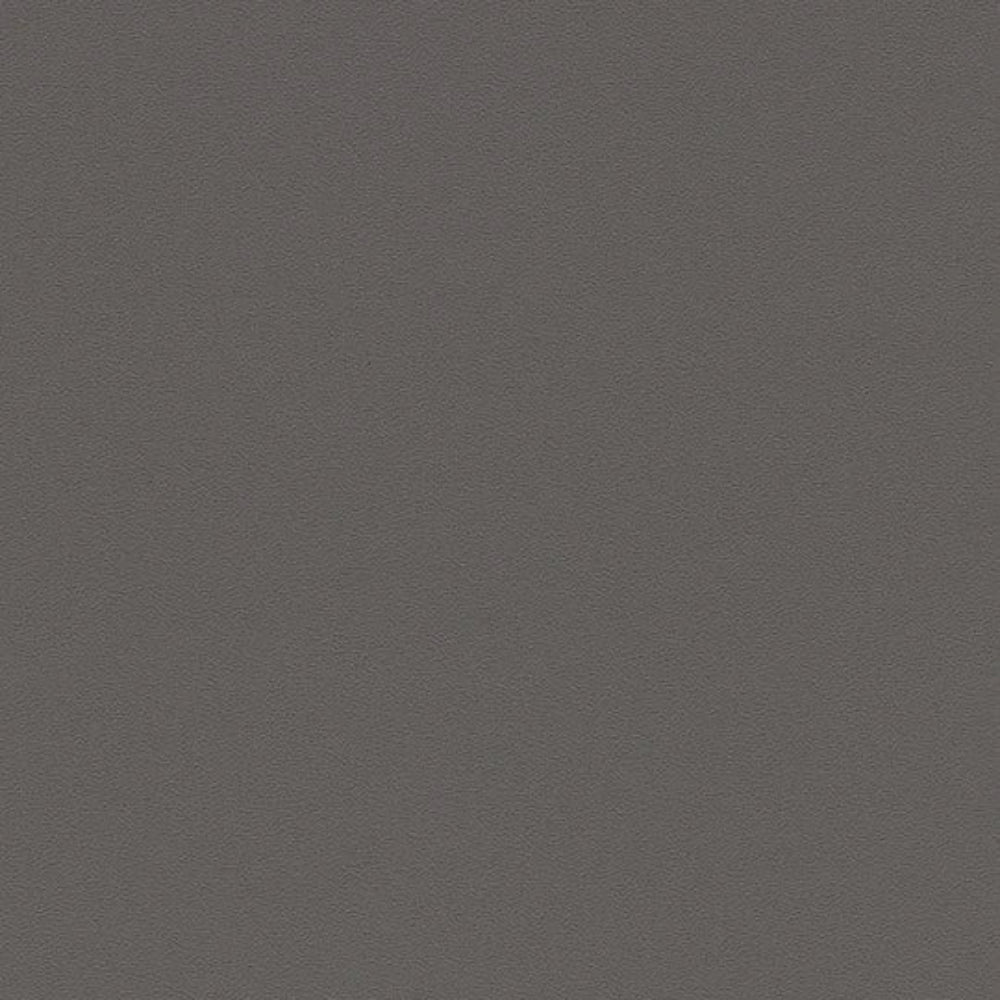 230444_0869UP4319
