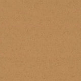 257320_90206UP4319_1