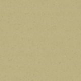 257321_90204UP4319