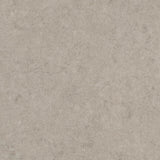 257335_4613UP4319