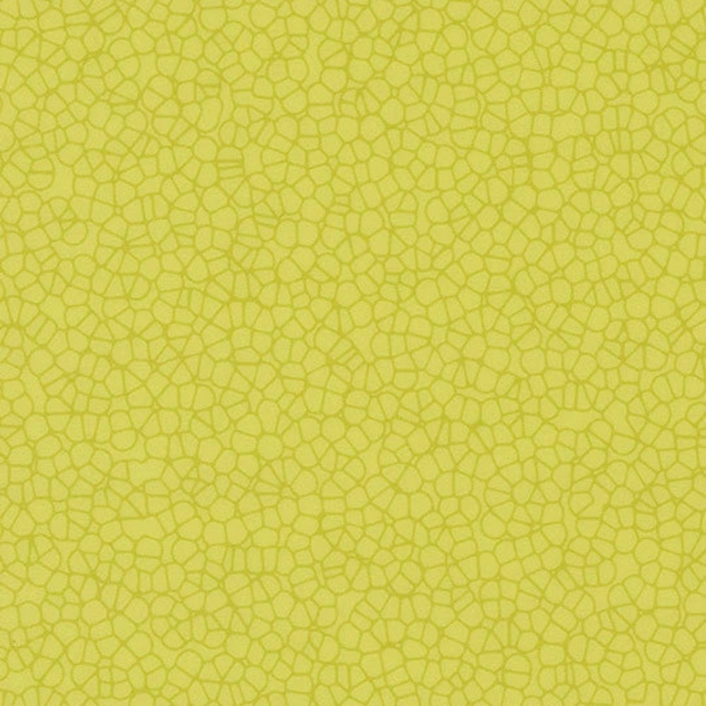 257366_90758UP4319