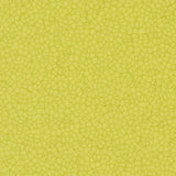 257366_90758UP4319