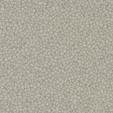 257368_90752UP4319