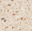 261454_5625 Forbo Novilon Viva (2m width)