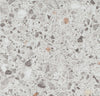 261455_5615 Forbo Novilon Viva (2m width)