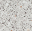 261455_5615 Forbo Novilon Viva (2m width)