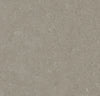 261472_5601 Forbo Novilon Viva (2m width)