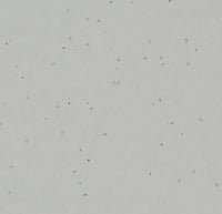 Forbo Sphera Energetic Concrete Sheet Vinyl