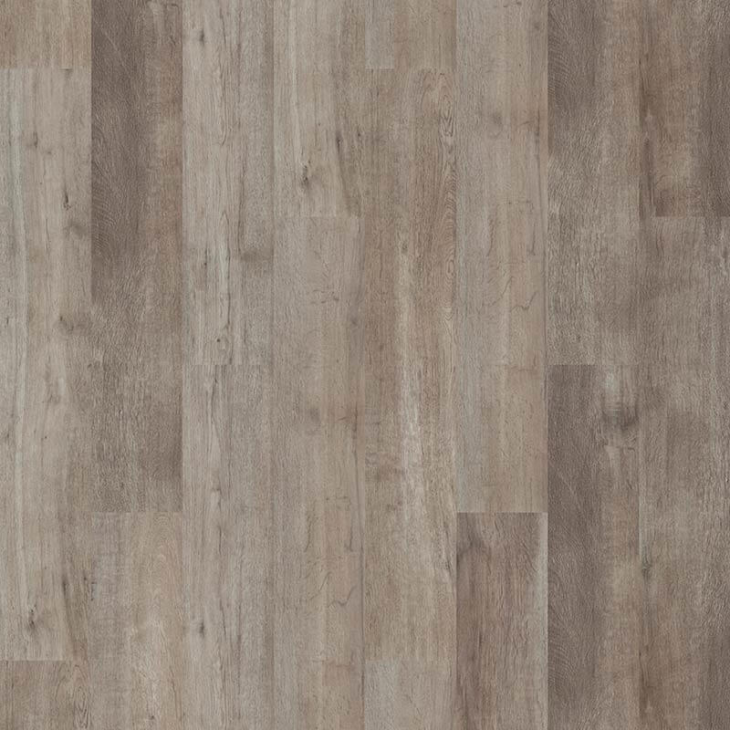 Forbo Allura 55 Dryback Grey Autumn Oak 60356DR5