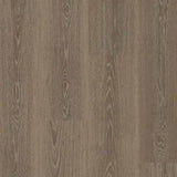 Tarkett Essence 55 Gluedown Tribe Oak Mocha 260053009