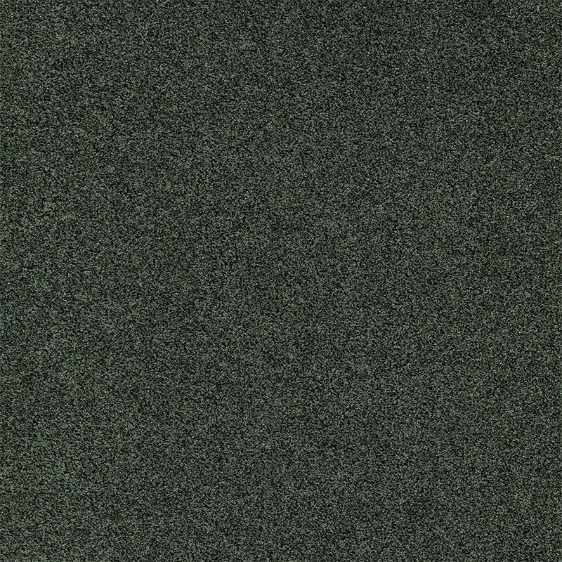 Modulyss Gleam