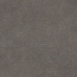 Polyflor Expona Commercial PUR Dark Grey Concrete 5069