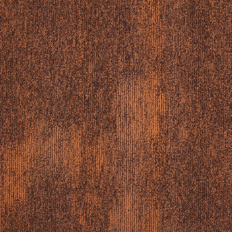 36_313_50x50_A