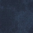 36_569_50x50_A
