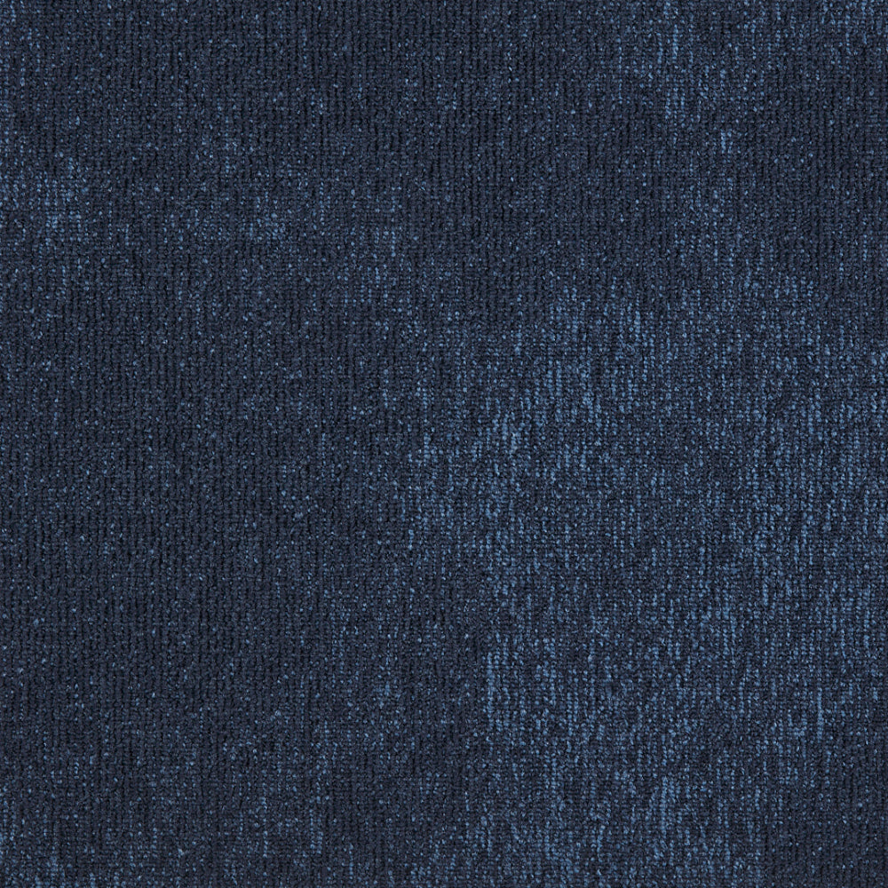 36_569_50x50_A