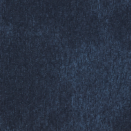 36_569_50x50_A