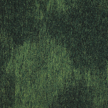 36_695_50x50_A