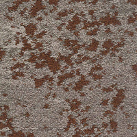 Mohawk Lichen Community - Macro Bloom Carpet Planks 375 Carpet Planks