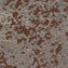 Mohawk Lichen Community - Macro Bloom Carpet Planks