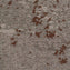 Mohawk Lichen Community - Micro Bloom Carpet Planks