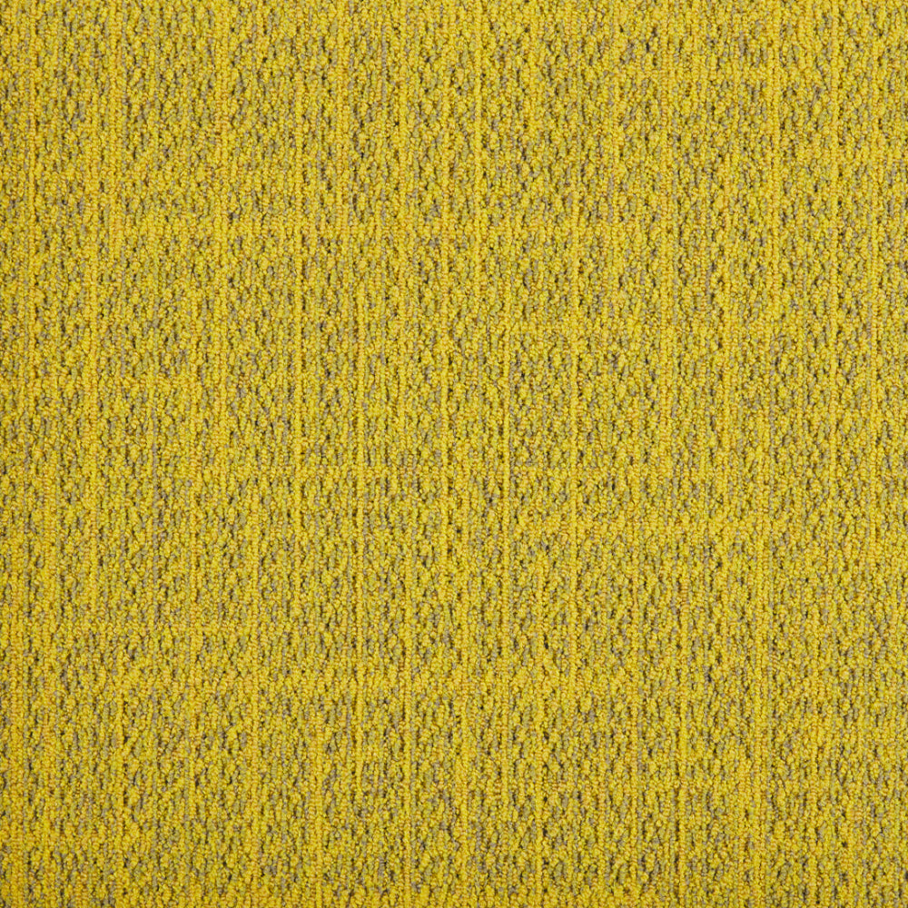 37_204_50x50_A