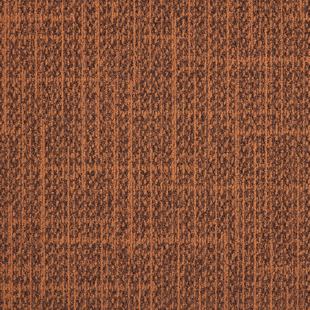 37_313_50x50_A