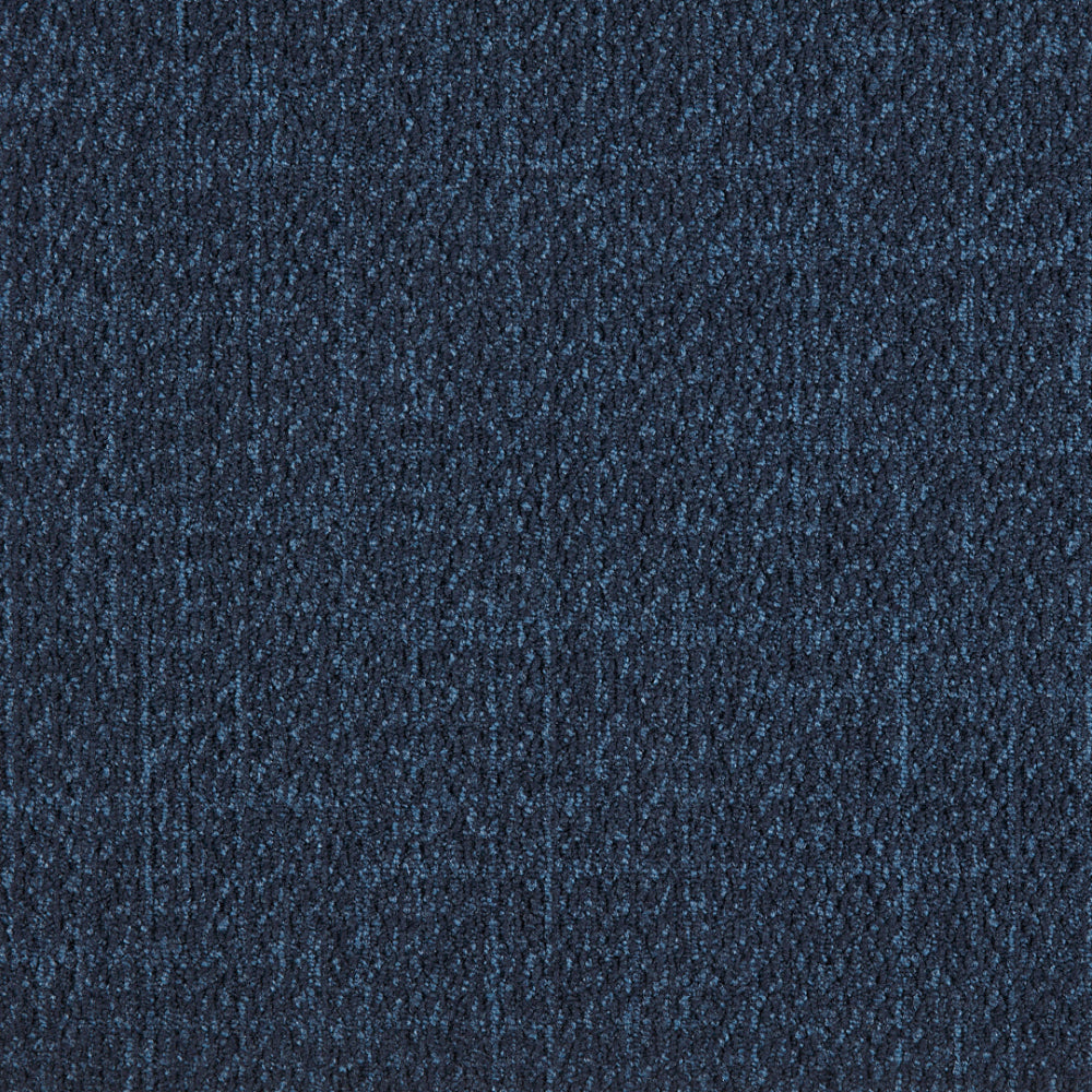 37_569_50x50_A