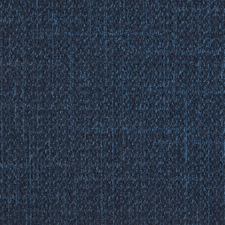 37_569_50x50_A