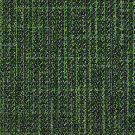 37_695_50x50_A