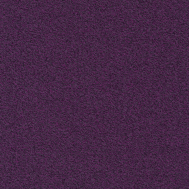 Modulyss Millennium Nxtgen