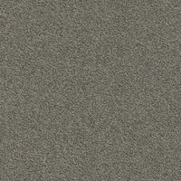 Modulyss Millennium Nxtgen 817 Carpet Tiles