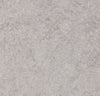 49736_8523 Forbo Novilon Viva (2m width)