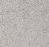 49736_8523 Forbo Novilon Viva (2m width)
