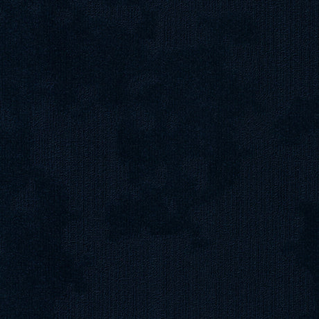 49_541_50x50_A_0 Velvet& 541