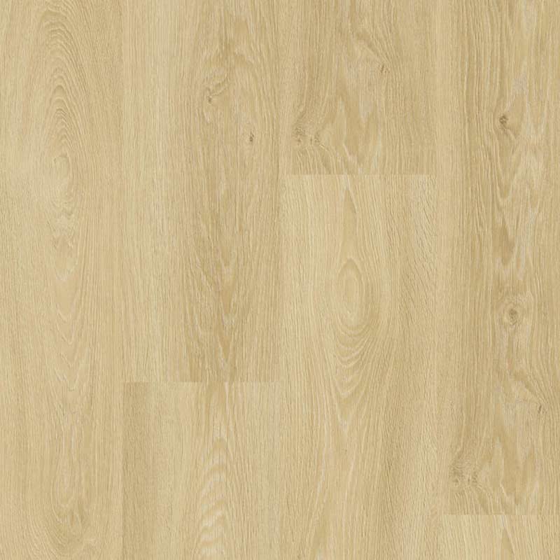 Tarkett Essence 55 Gluedown Cool Oak 260053001
