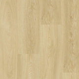 Tarkett Essence 55 Gluedown Cool Oak 260053001