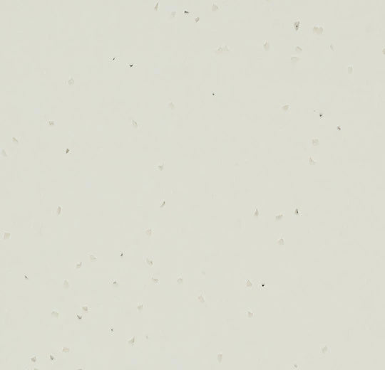 50255 Snow