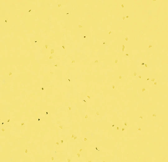 50261 banana