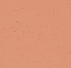  50264 pomelo