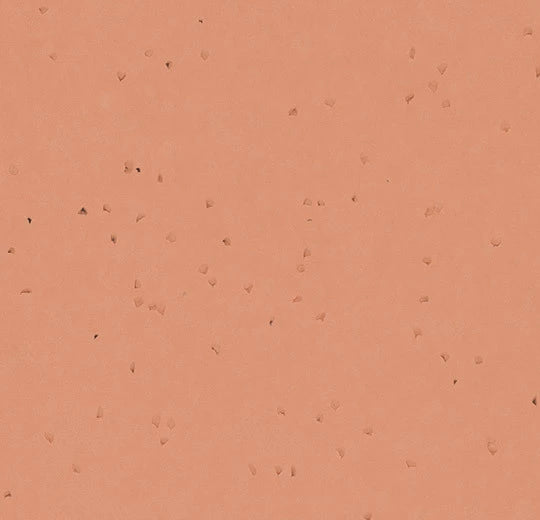  50264 pomelo